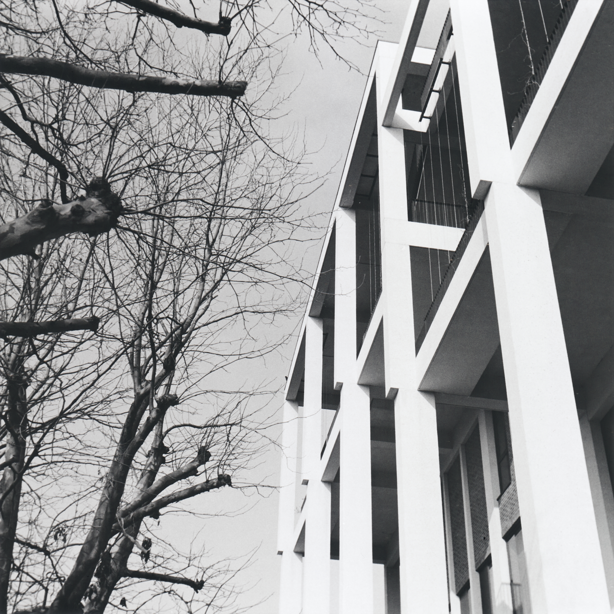 Town House, Grafton Architects. Zeiss Ikon Nettar.